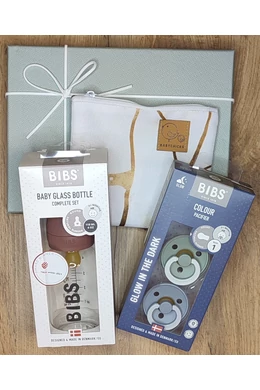 Ajándékcsomag- Bibs cumisüveg, Bibs világítós cumi zsálya/ delfin (válassz méretet), arany márvány cumitartó