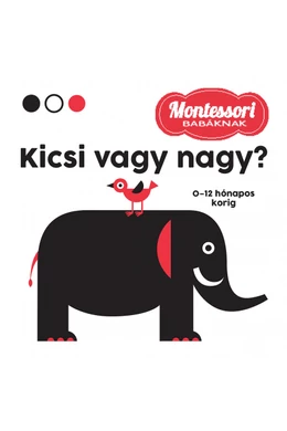 Kicsi vagy nagy? - Montessori babáknak